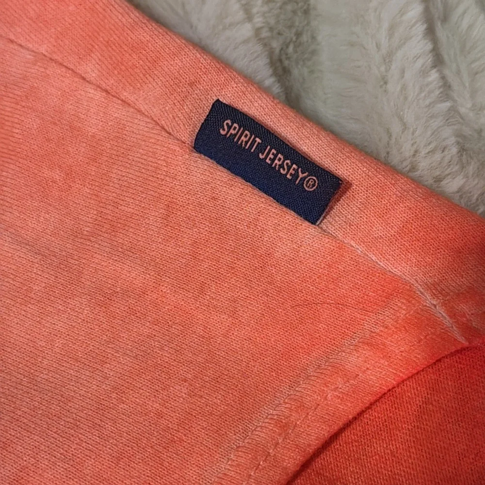 Disneyland Orange ombré Pet T-Shirt (small)